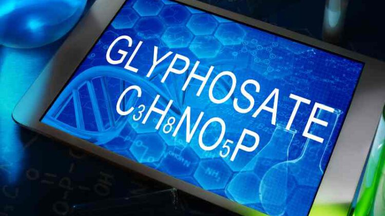 Glyphosat Verbot