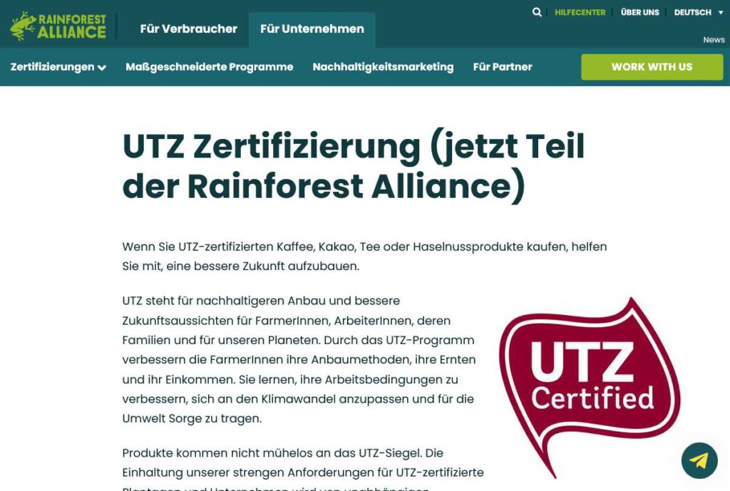 utc_rainforest_screenshot