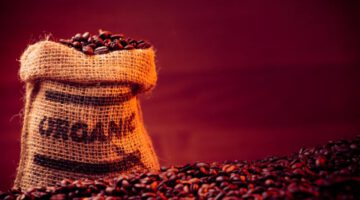 nachhaltiger kaffee